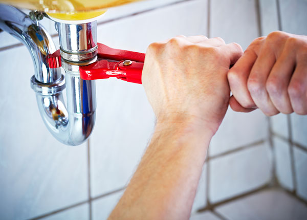 About Paradis Plumbers